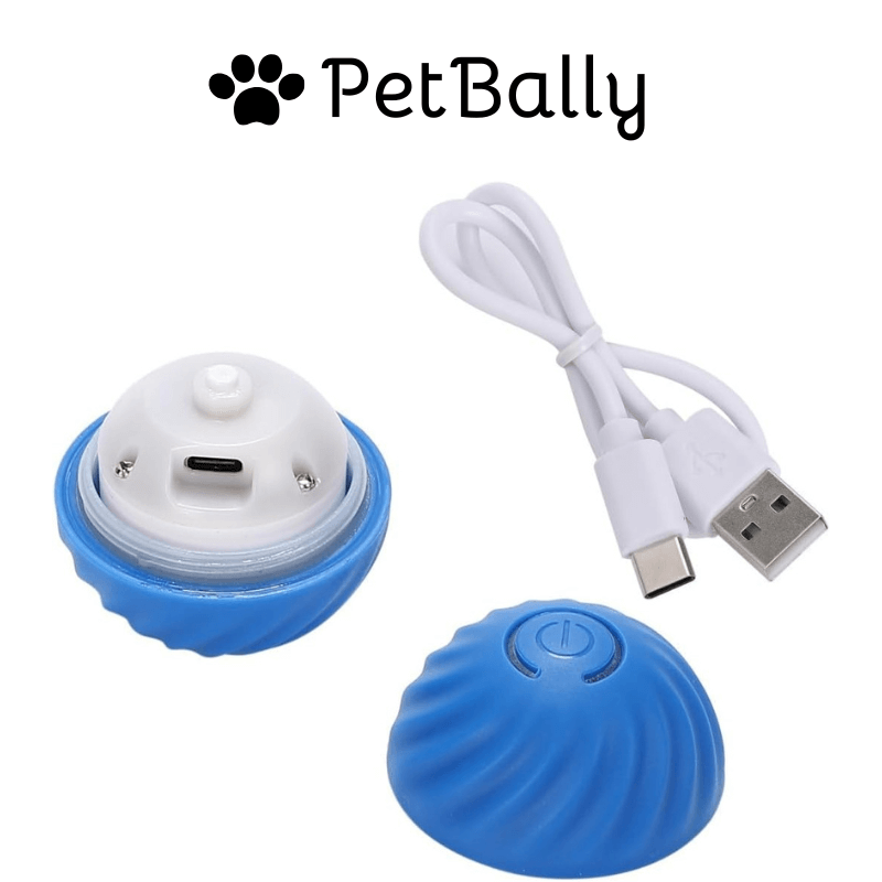 1+1 FREE | PetBally Dog Bouncing Rolling Ball - VERRANOO