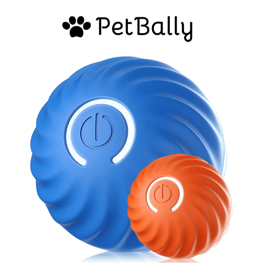 1+1 FREE | PetBally Dog Bouncing Rolling Ball - VERRANOO