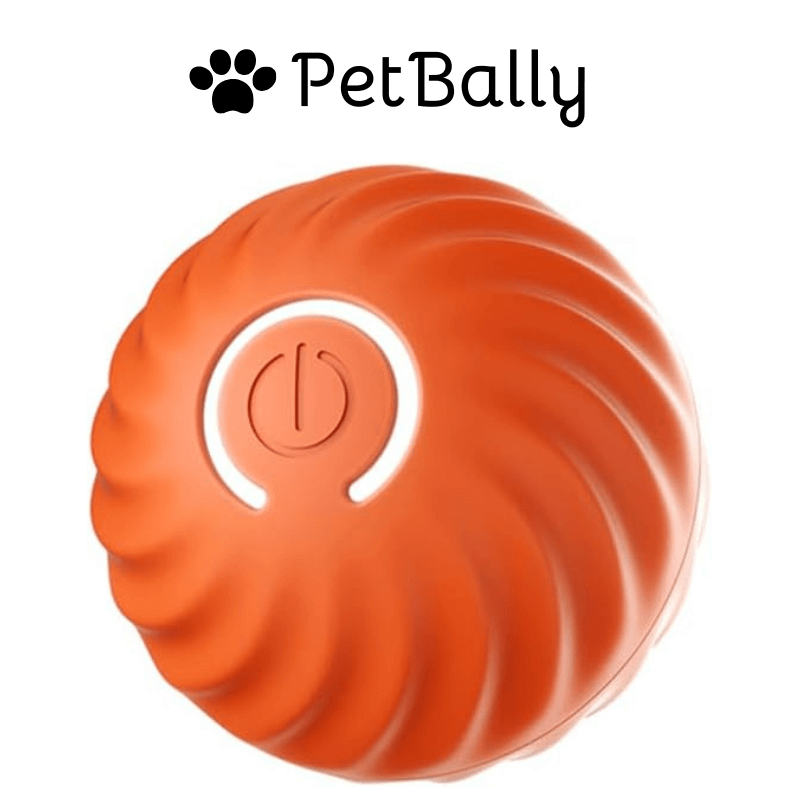 1+1 FREE | PetBally Dog Bouncing Rolling Ball - VERRANOO