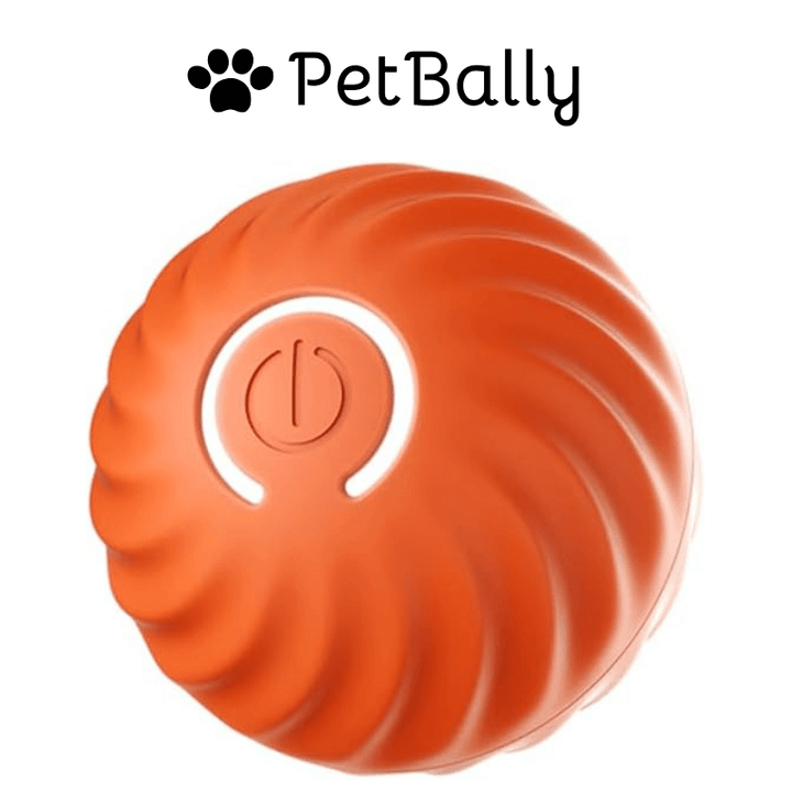 1+1 FREE | PetBally Dog Bouncing Rolling Ball - VERRANOO