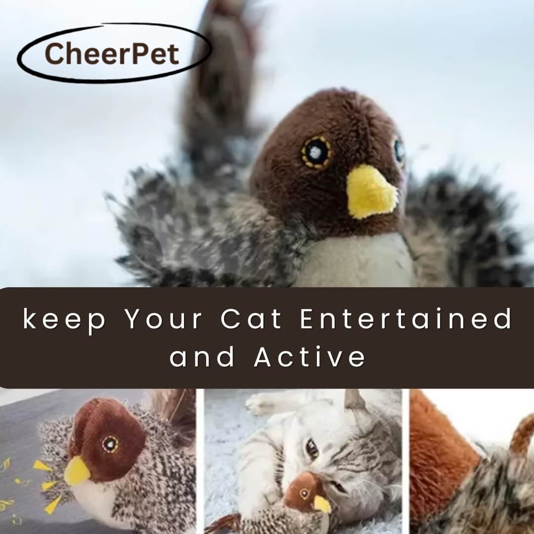 1+1 FREE | CheerPet Cat Bird Toy