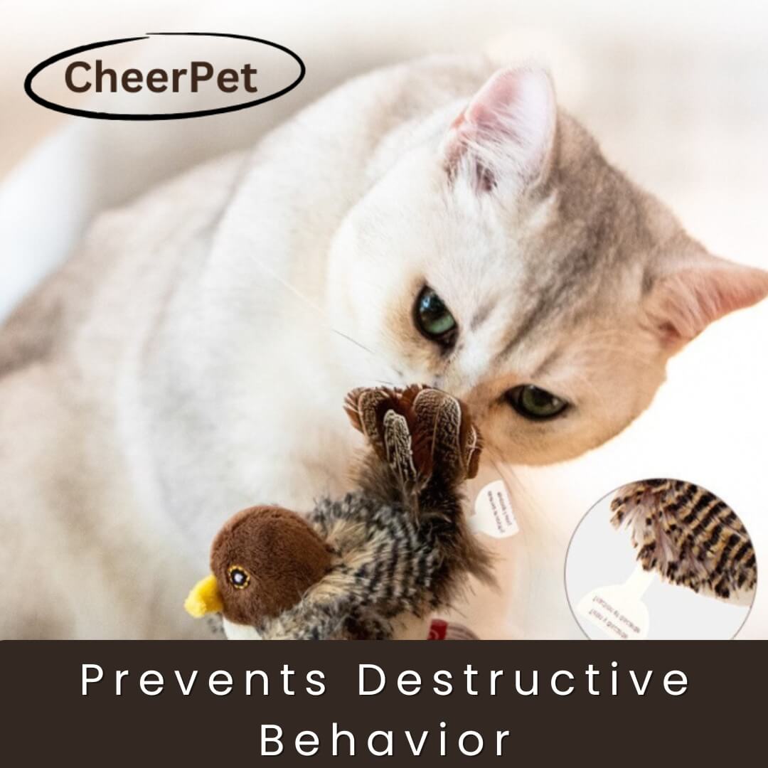 1+1 FREE | CheerPet Cat Bird Toy