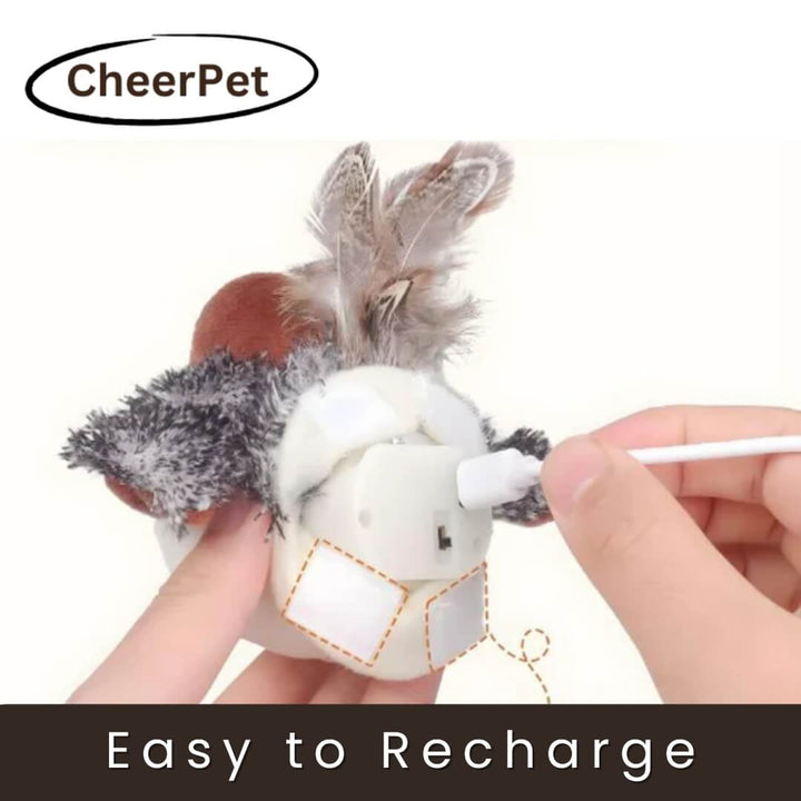 1+1 FREE | CheerPet Cat Bird Toy