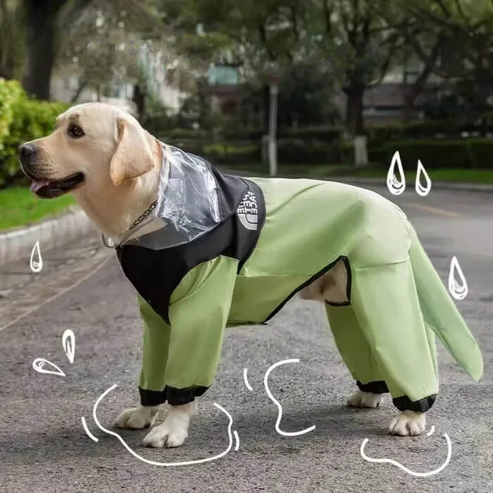 50% OFF | PawShield Waterproof Dog Raincoat - VERRANOO