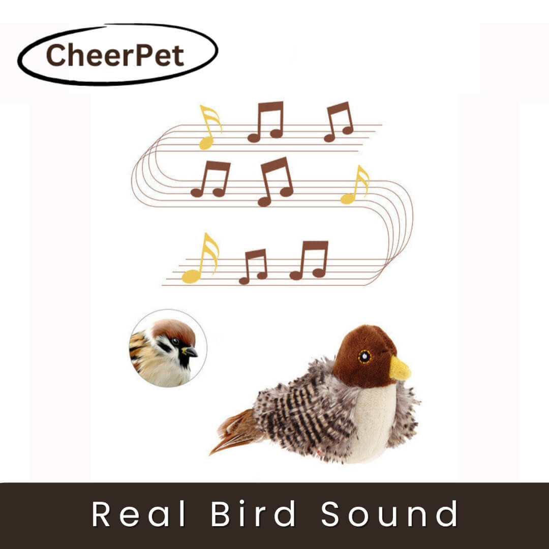 1+1 FREE | CheerPet Cat Bird Toy