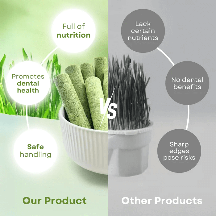 CatNutry™ | Cat Grass Sticks - Keep your furry friend healthy for a very very long life! - Coolpho