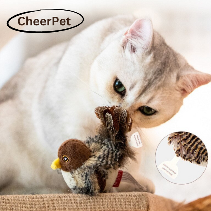 1+1 FREE | CheerPet Cat Bird Toy