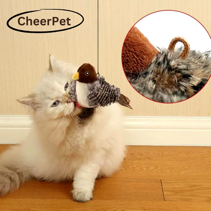 1+1 FREE | CheerPet Cat Bird Toy