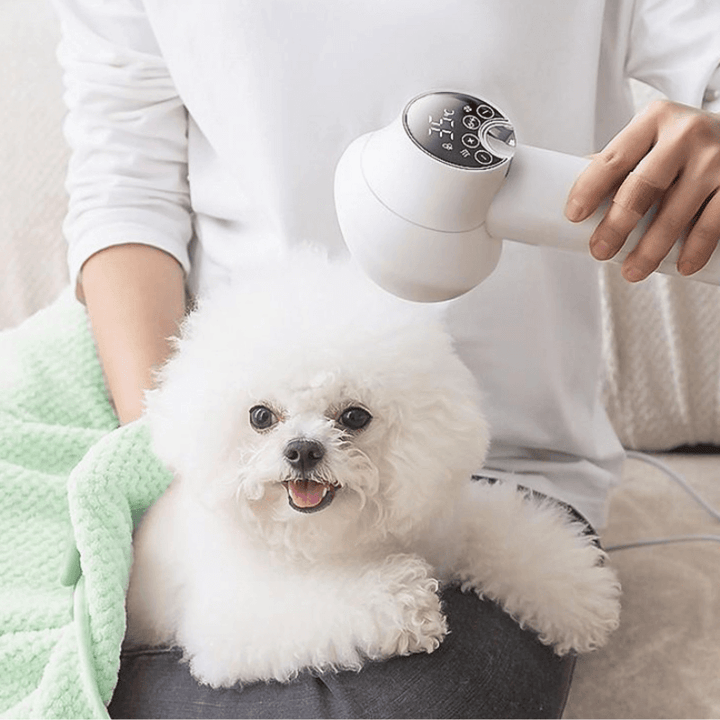 FurryFresh™ Smart Pet Hair Drying Brush - Coolpho