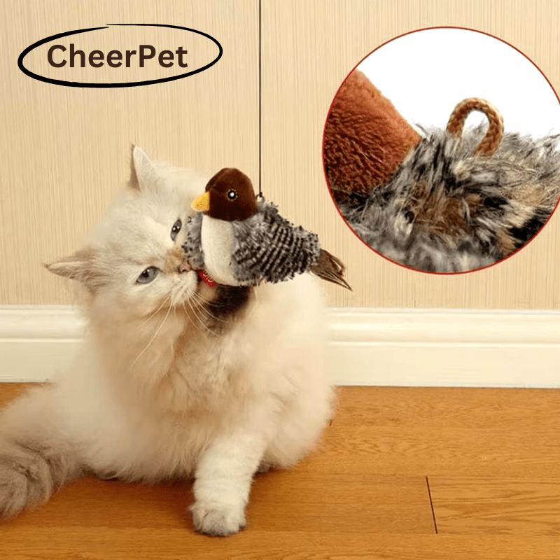 CheerPet Cat Bird Toy - VERRANOO