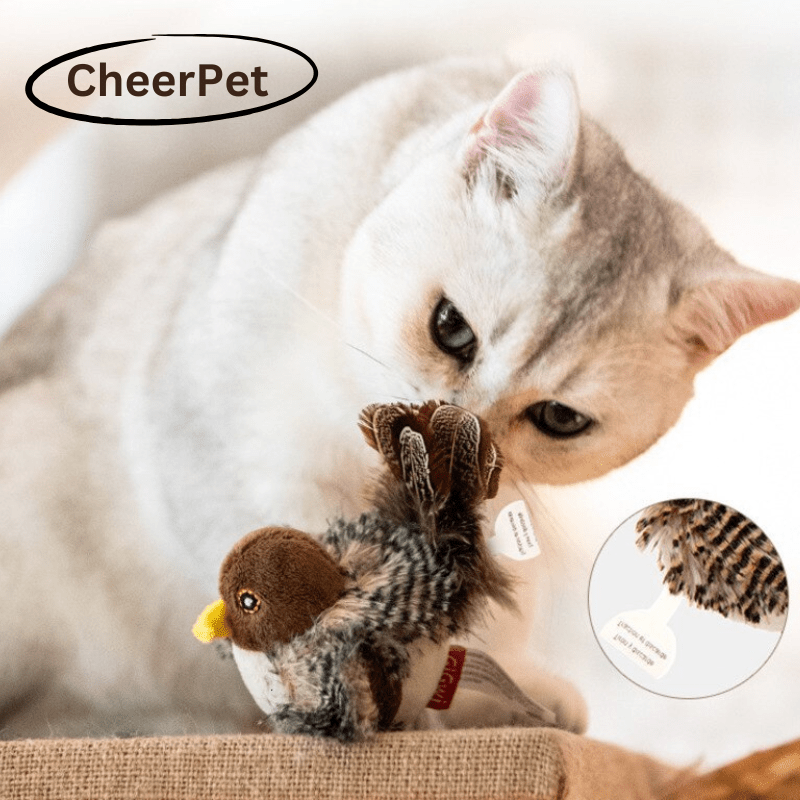 CheerPet Cat Bird Toy - VERRANOO