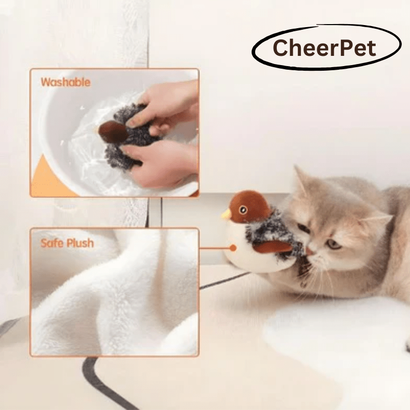 CheerPet Cat Bird Toy - VERRANOO