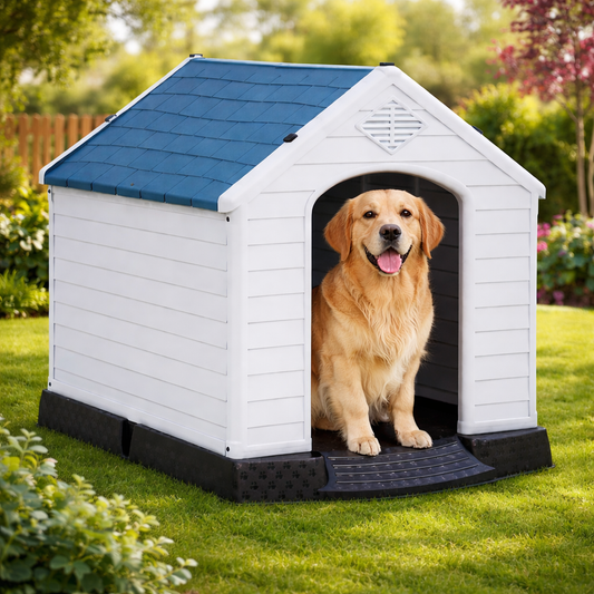 dog house for outdoors