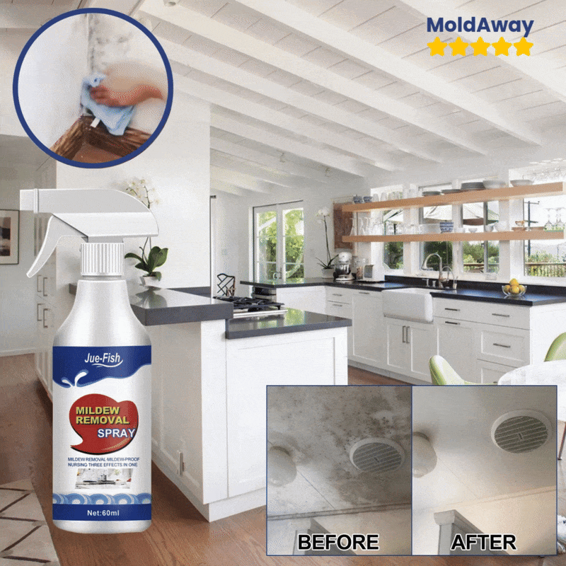 MoldAway™ Mildew Remover Spray – VERRANOO