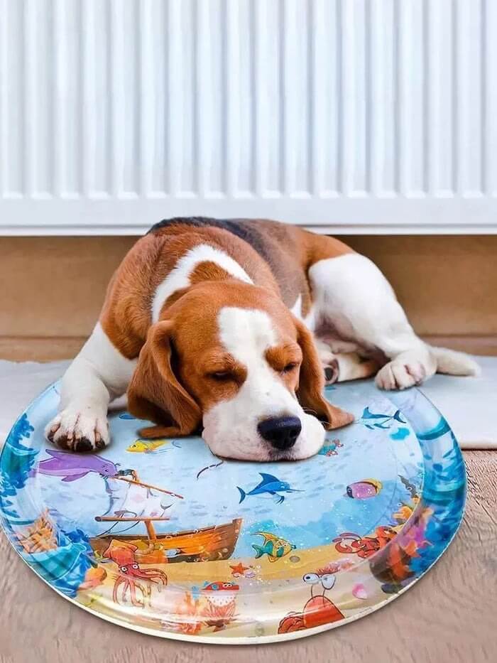 Pet Water Bed - VERRANOO