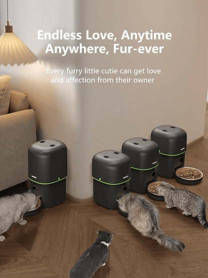 PetPal Automatic Pet Feeder - VERRANOO