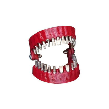 ToolWorx Denture Screwdriver Bit Holder - Perfect for 1/4" Hex Drives - VERRANOO