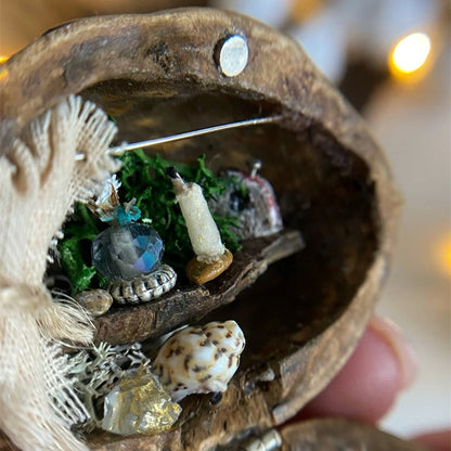 WalnutWhim Mini Library – A Tiny World of Enchantment Inside a Walnut Shell - VERRANOO