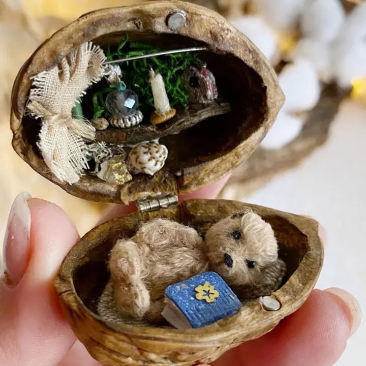 WalnutWhim Mini Library – A Tiny World of Enchantment Inside a Walnut Shell - VERRANOO