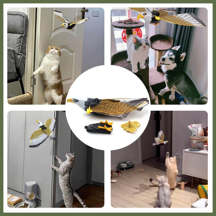 Interactive Bird Cat Toy - Coolpho